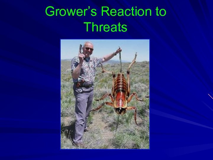 Grower’s Reaction to Threats 