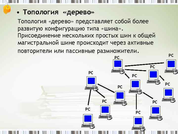  • Топология «дерево» представляет собой более развитую конфигурацию типа «шина» . Присоединение нескольких