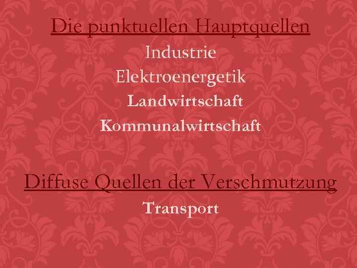 Die punktuellen Hauptquellen Industrie Elektroenergetik Landwirtschaft Kommunalwirtschaft Diffuse Quellen der Verschmutzung Transport 