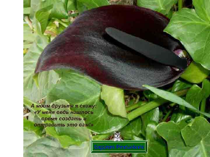 А моим друзьям я скажу: «У меня ведь нашлось время создать и отправить это