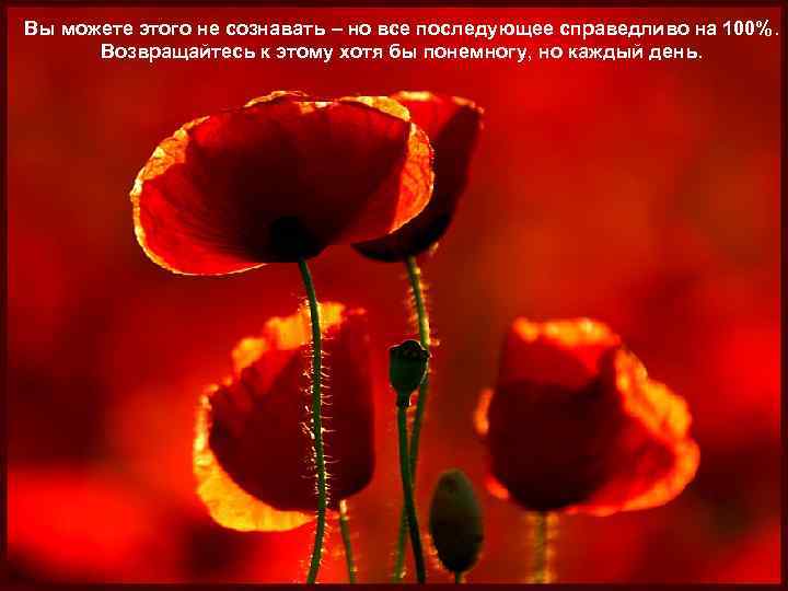 Вы можете этого не сознавать – но все последующее справедливо на 100%. Возвращайтесь к