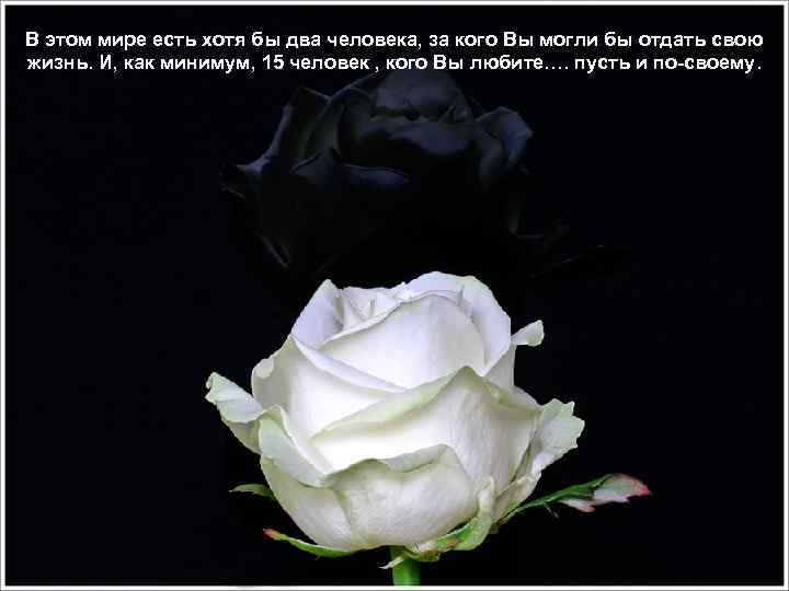 В этом мире есть хотя бы два человека, за кого Вы могли бы отдать