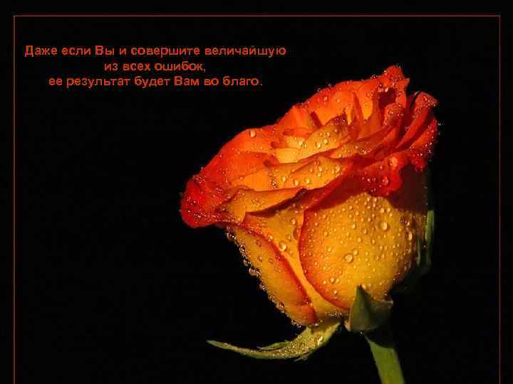 Даже если Вы и совершите величайшую из всех ошибок, ее результат будет Вам во