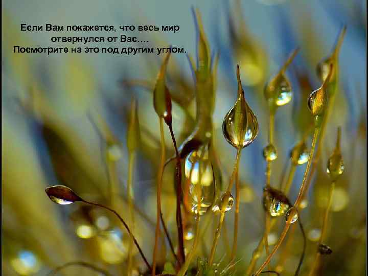 Если Вам покажется, что весь мир отвернулся от Вас…. Посмотрите на это под другим