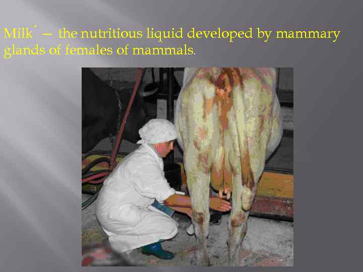 Milk — the nutritious liquid developed by mammary glands of females of mammals. 