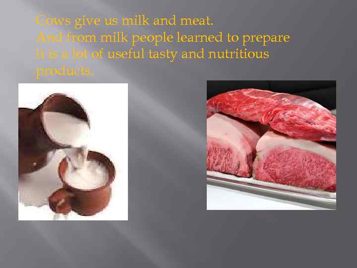 Cows give us milk and meat. And from milk people learned to prepare it