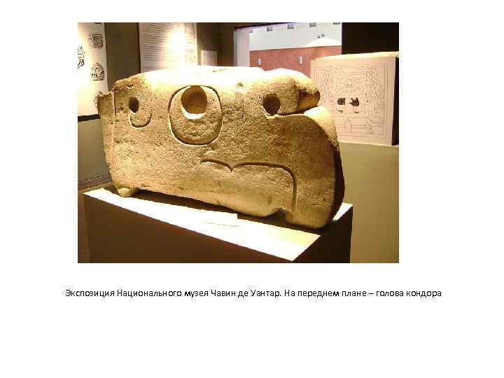Экспозиция Национального музея Чавин де Уантар. На переднем плане – голова кондора 