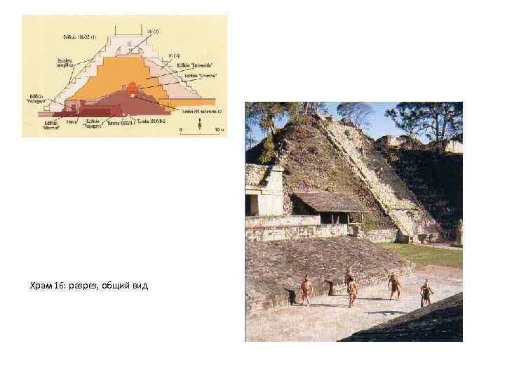 Храм 16: разрез, общий вид 