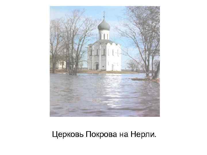 Церковь Покрова на Нерли. 