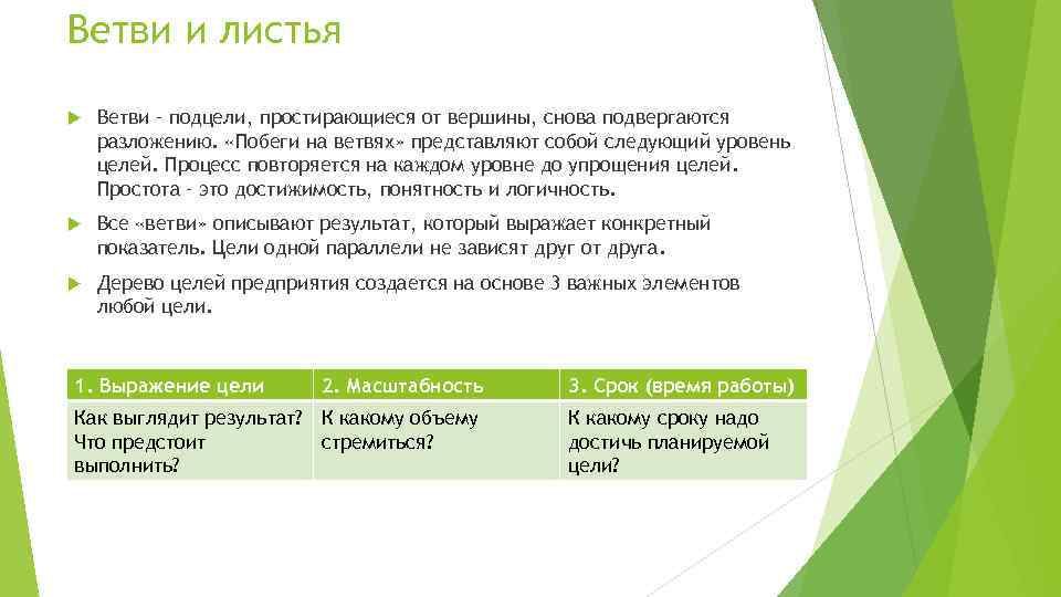 Ветви и листья Ветви – подцели, простирающиеся от вершины, снова подвергаются разложению. «Побеги на
