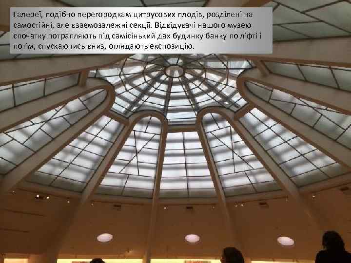 Галереї, подібно перегородкам цитрусових плодів, розділені на самостійні, але взаємозалежні секції. Відвідувачі нашого музею