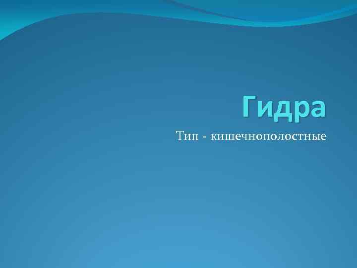 Гидра Тип - кишечнополостные 