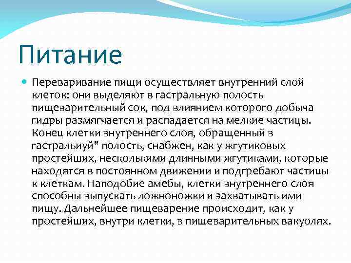 Питание Переваривание пищи осуществляет внутренний слой клеток: они выделяют в гастральную полость пищеварительный сок,