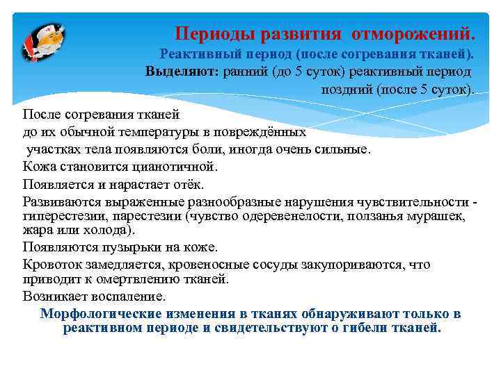 Периоды развития отморожений. Реактивный период (после согревания тканей). Выделяют: ранний (до 5 суток) реактивный