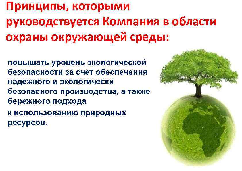 Уровень экологии. Охрана окружающей среды и обеспечение экологической безопасности. Вопросы охраны окружающей среды и экологической безопасности. Управление экологической безопасностью и охраной окружающей среды. Глобальный уровень экологической безопасности.