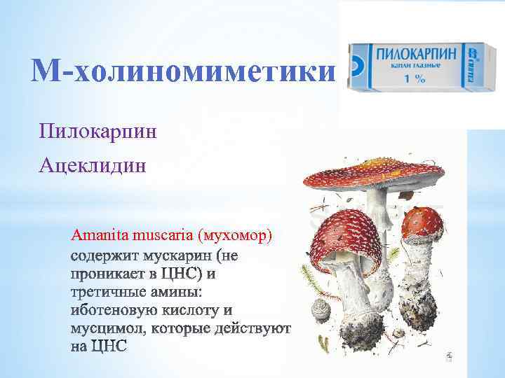 М-холиномиметики Пилокарпин Ацеклидин Amanita muscaria (мухомор) 