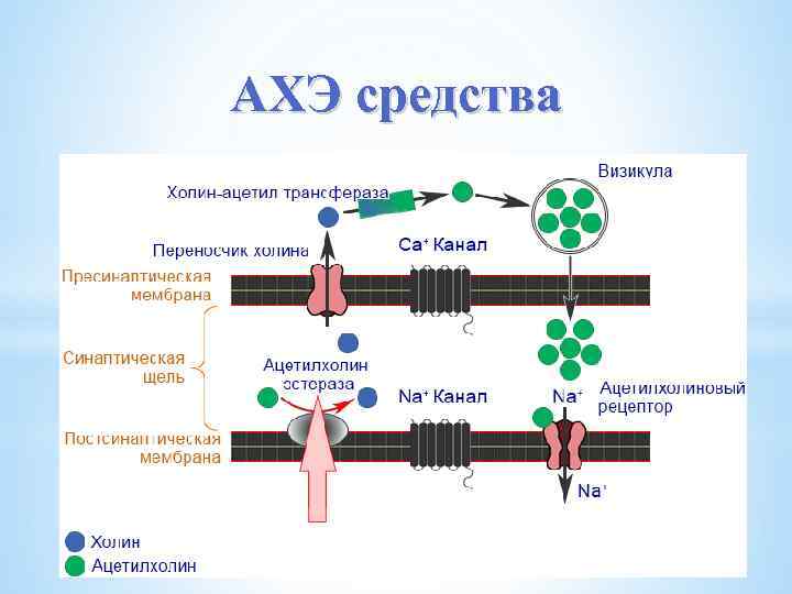 АХЭ средства 