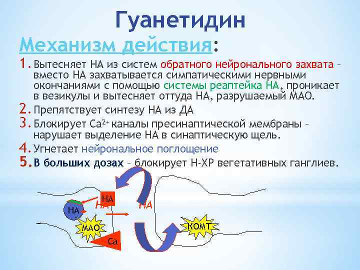 Гуанетидин Механизм действия: 1. Вытесняет НА из систем обратного нейронального захвата – вместо НА