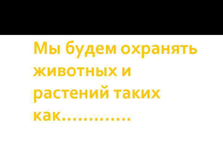 Мы будем охранять животных и растений таких как…………. 