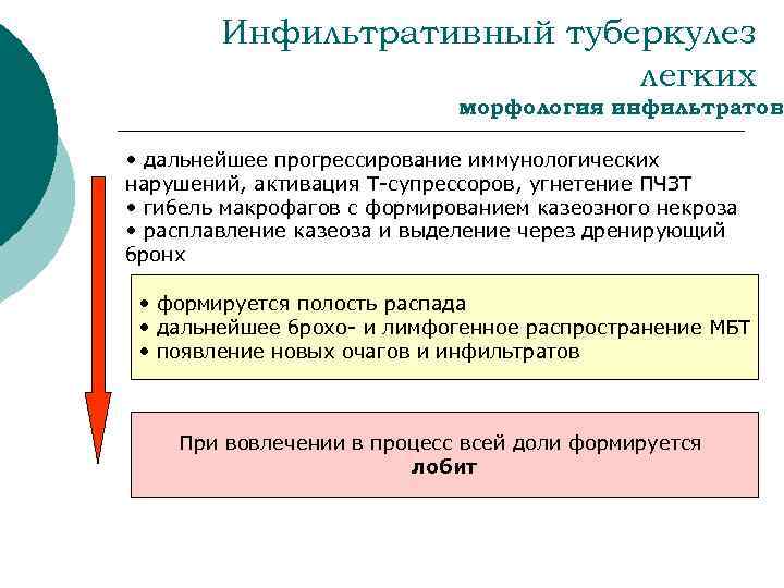 Инфильтративный туберкулез легких морфология инфильтратов • дальнейшее прогрессирование иммунологических нарушений, активация Т-супрессоров, угнетение ПЧЗТ