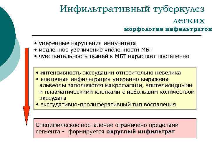 Инфильтративный туберкулез легких морфология инфильтратов • умеренные нарушения иммунитета • медленное увеличение численности МБТ