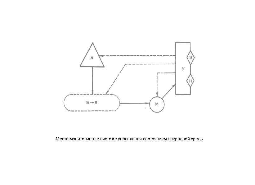 Место мониторинга в системе управления состоянием природной среды 