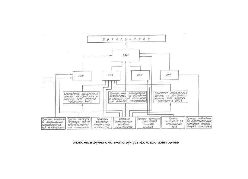 Блок-схема функциональной структуры фонового мониторинга 