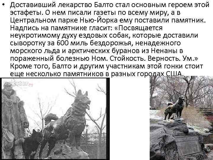  • Доставивший лекарство Балто стал основным героем этой эстафеты. О нем писали газеты