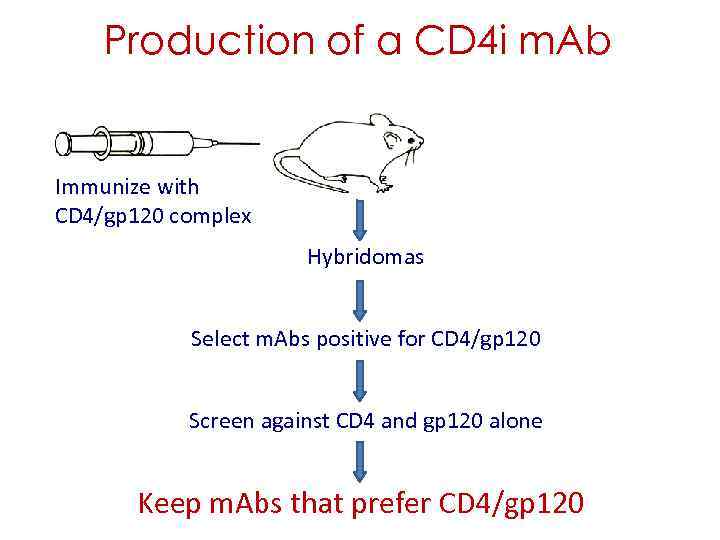 Production of a CD 4 i m. Ab Immunize with CD 4/gp 120 complex