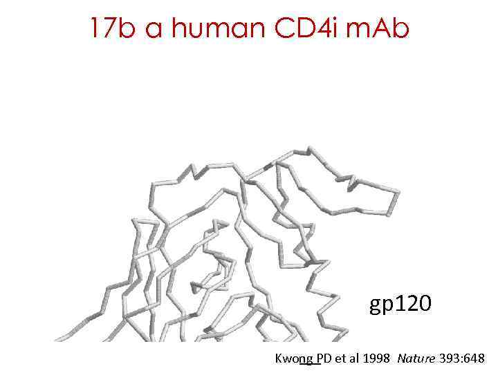 17 b a human CD 4 i m. Ab gp 120 Kwong PD et