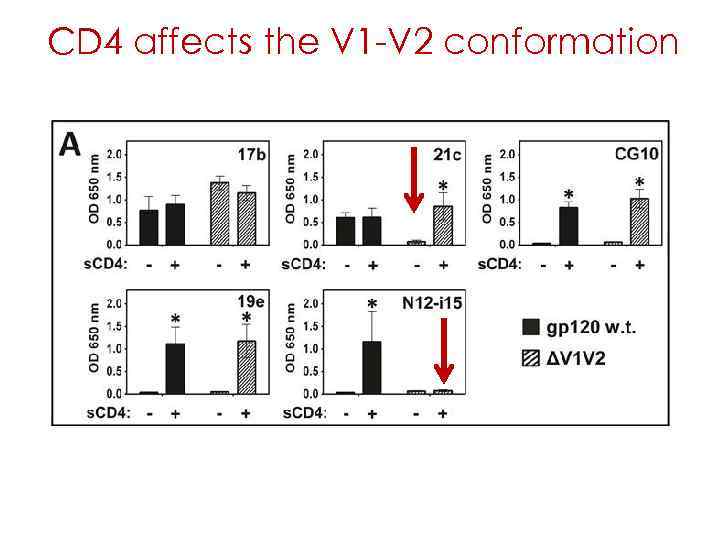 CD 4 affects the V 1 -V 2 conformation 