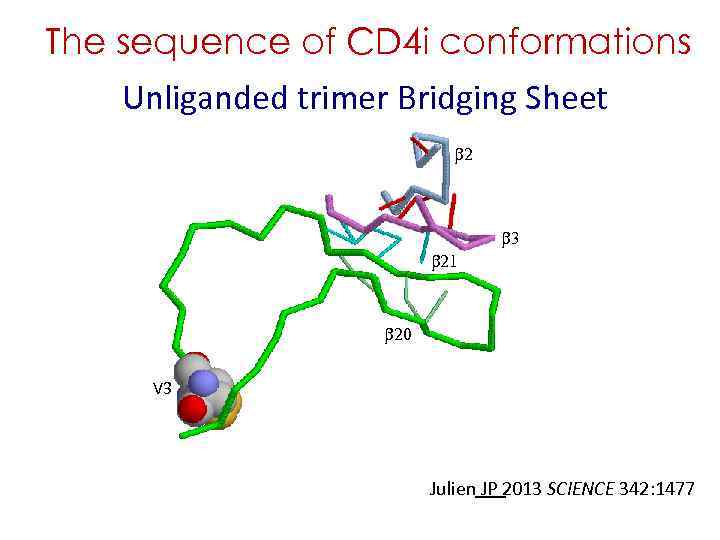 The sequence of CD 4 i conformations Unliganded trimer Bridging Sheet b 2 b