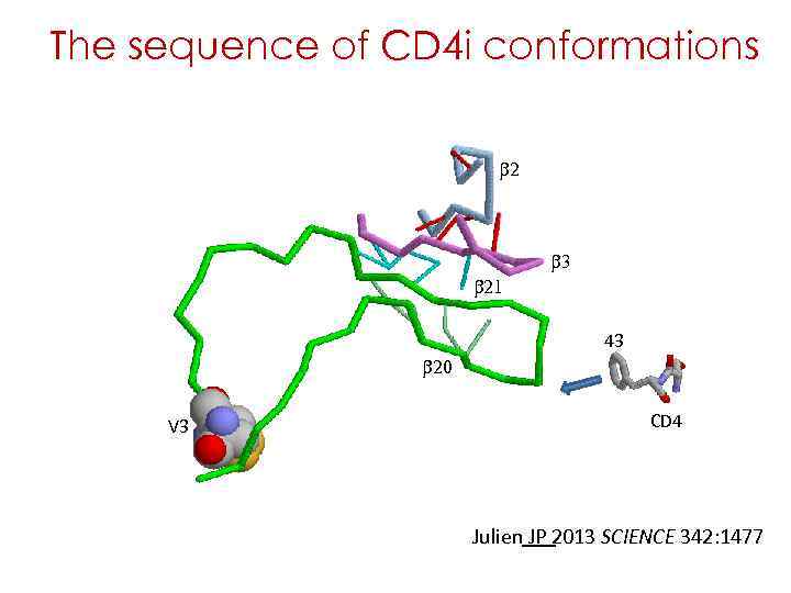 The sequence of CD 4 i conformations b 2 b 3 b 21 43