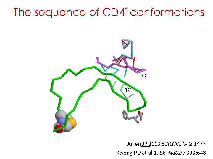 The sequence of CD 4 i conformations b 3 b 21 Julien JP 2013