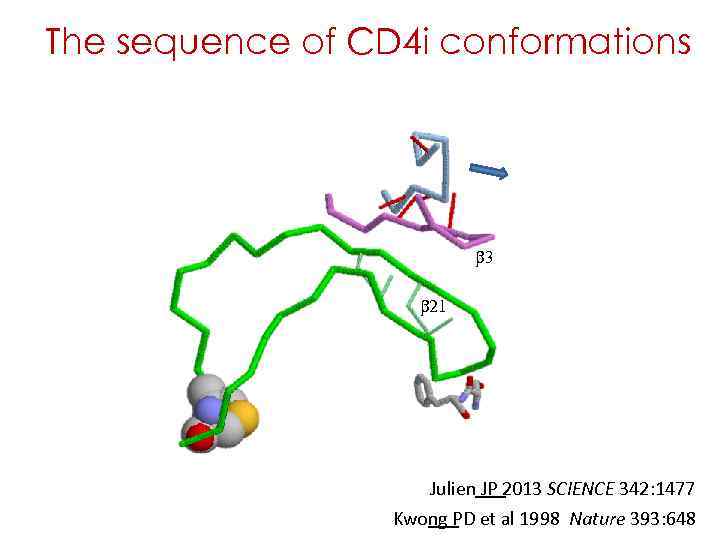 The sequence of CD 4 i conformations b 3 b 21 Julien JP 2013