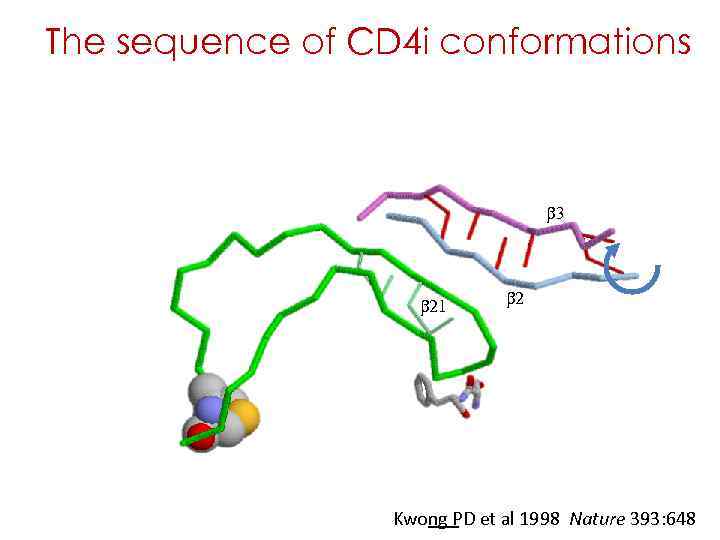 The sequence of CD 4 i conformations b 3 b 21 b 2 Kwong