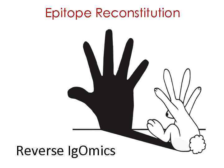 Epitope Reconstitution Reverse Ig. Omics 