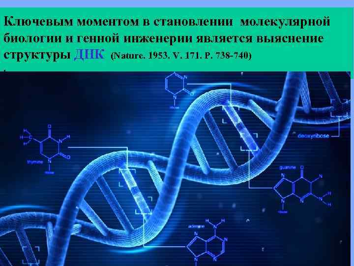 Ключевым моментом в становлении молекулярной биологии и генной инженерии является выяснение структуры ДНК (Nature.