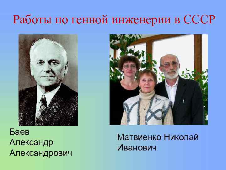 Работы по генной инженерии в СССР Баев Александрович Матвиенко Николай Иванович 