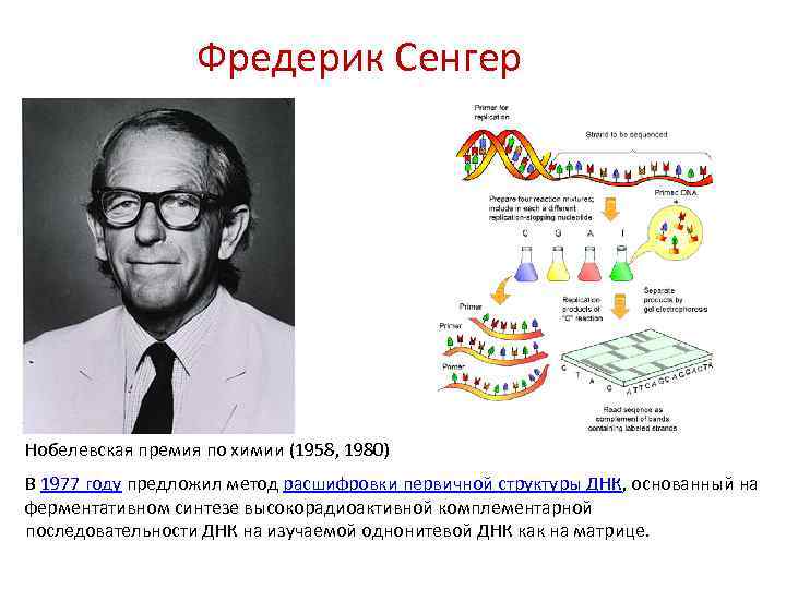 История развития генетической инженерии презентация