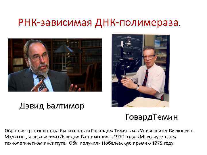 РНК-зависимая ДНК-полимераза. Дэвид Балтимор Говард. Темин Обратная транскриптаза была открыта Говардом Теминым в Университет