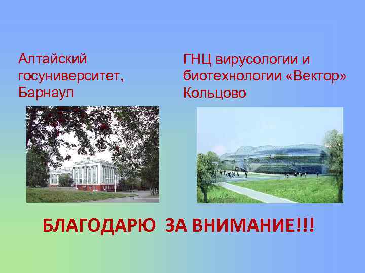 Алтайский госуниверситет, Барнаул ГНЦ вирусологии и биотехнологии «Вектор» Кольцово БЛАГОДАРЮ ЗА ВНИМАНИЕ!!! 