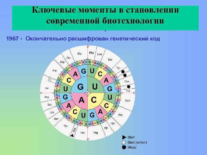 Ключевые моменты в становлении современной биотехнологии. 1967 - Окончательно расшифрован генетический код 