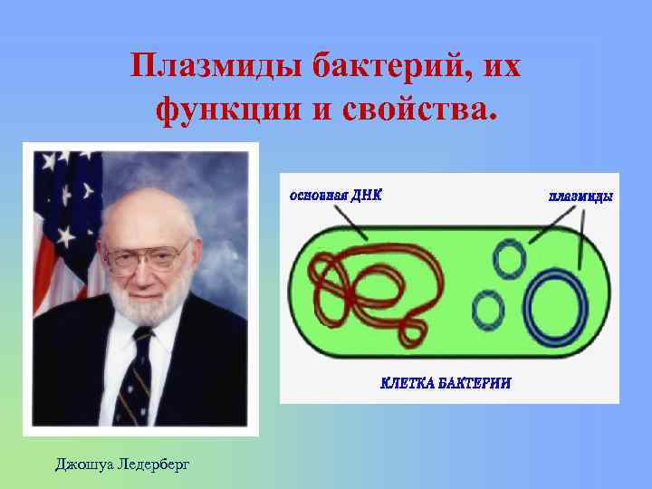 Плазмиды бактерий, их функции и свойства. Джошуа Ледерберг 