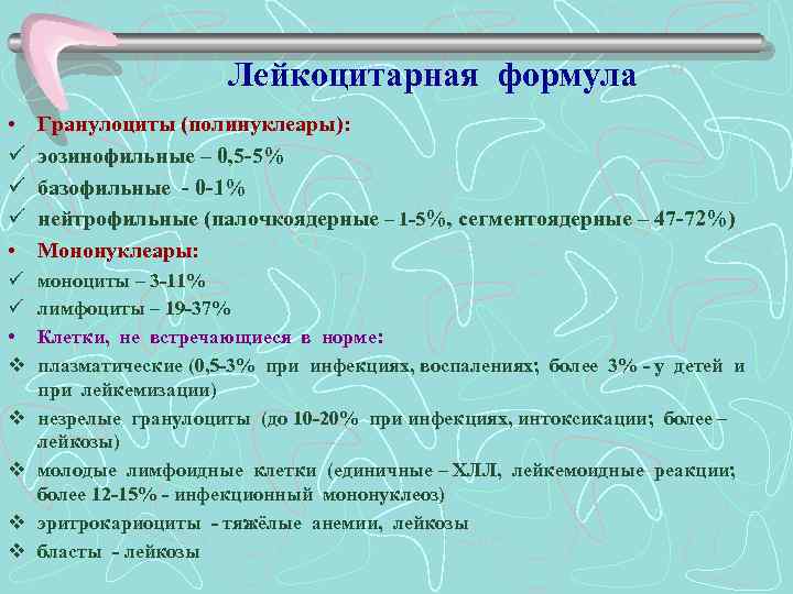 Лейкоцитарная формула • ü ü ü • Гранулоциты (полинуклеары): эозинофильные – 0, 5 -5%