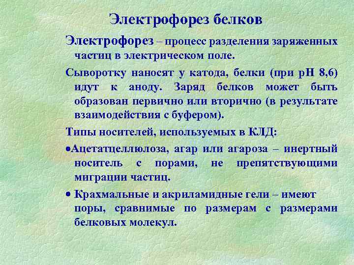 Электрофорез белков Электрофорез – процесс разделения заряженных частиц в электрическом поле. Сыворотку наносят у