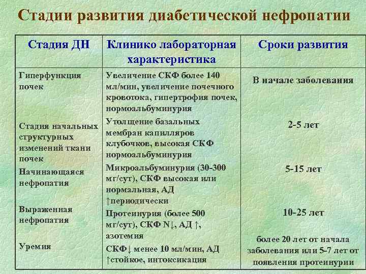 Стадии развития диабетической нефропатии Стадия ДН Гиперфункция почек Клинико лабораторная характеристика Увеличение СКФ более