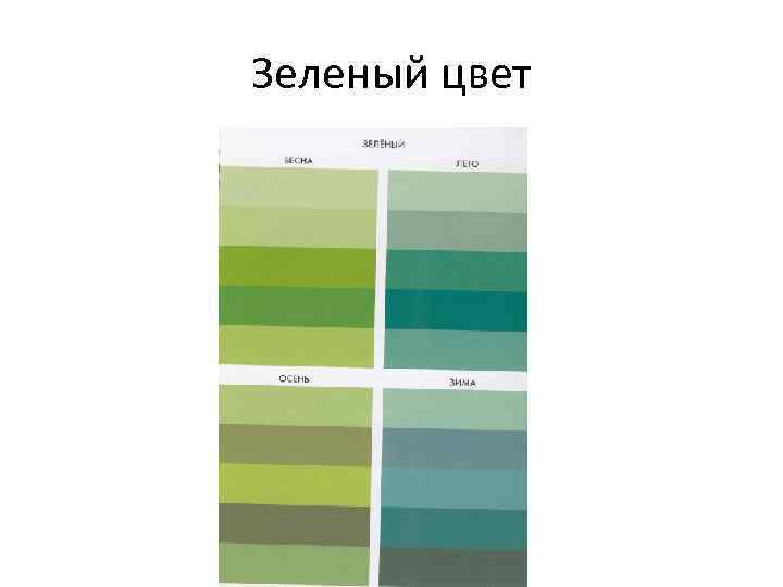 Зеленый цвет 