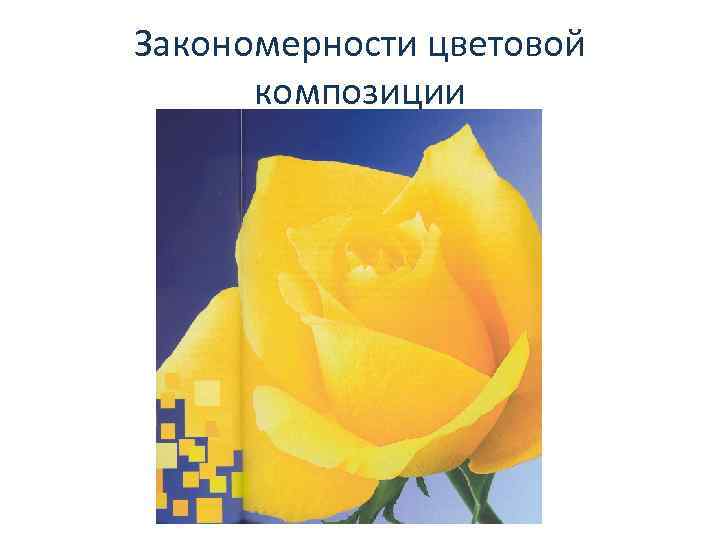 Закономерности цветовой композиции 