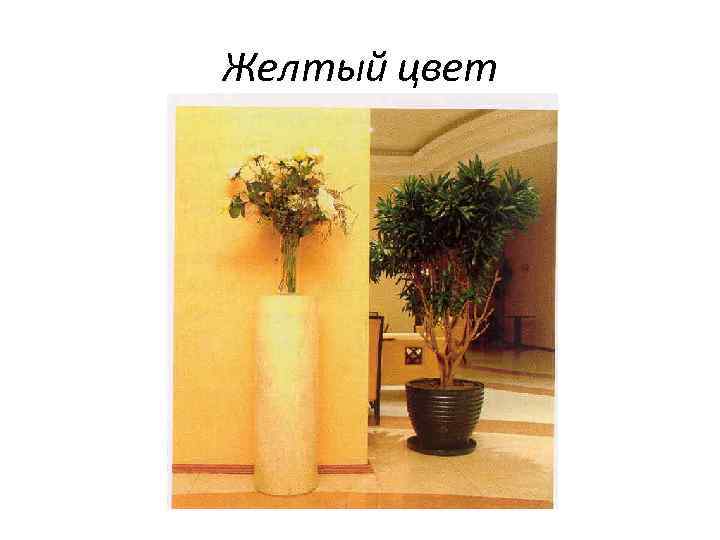 Желтый цвет 